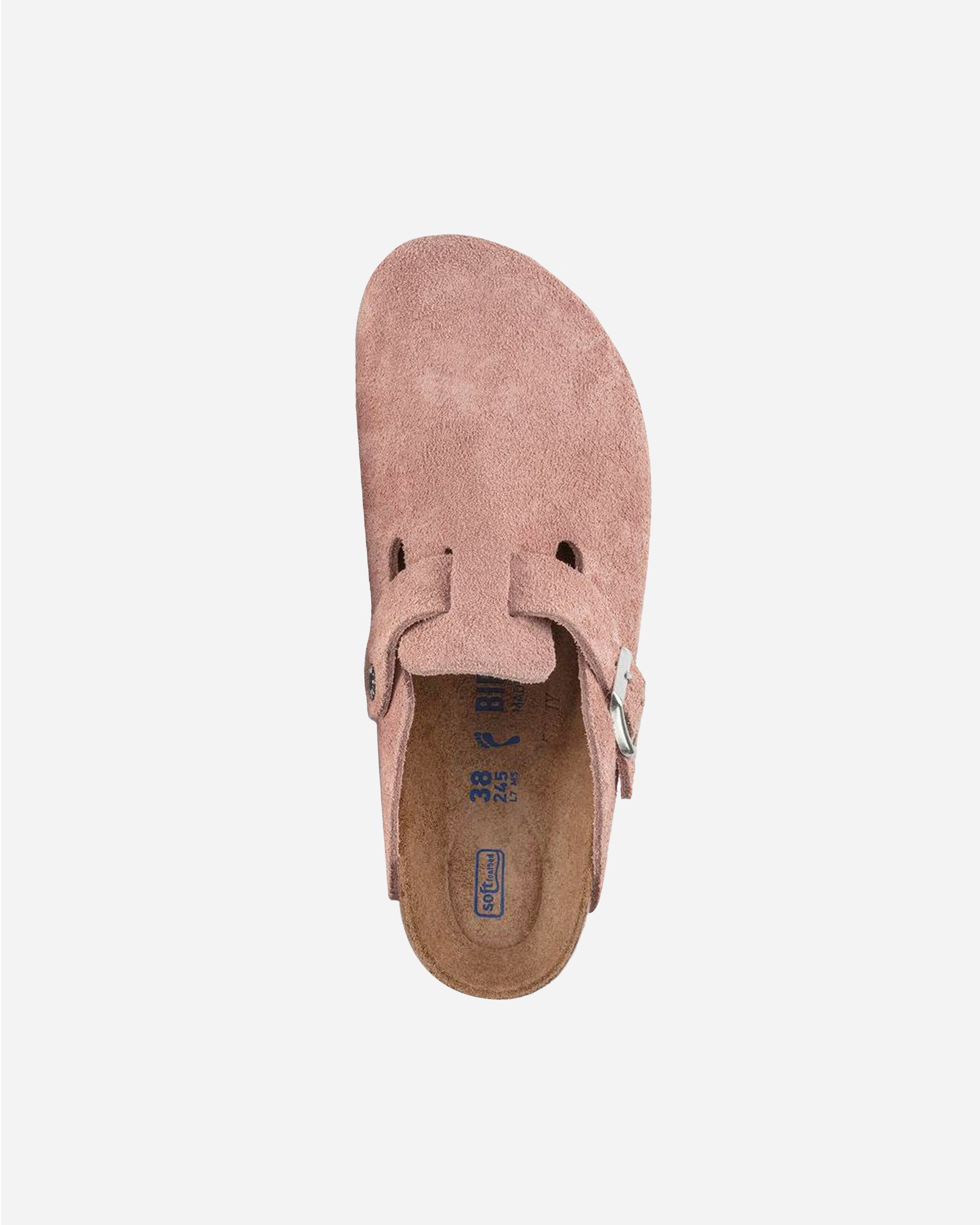 Boston SFB LEVE (Regular)