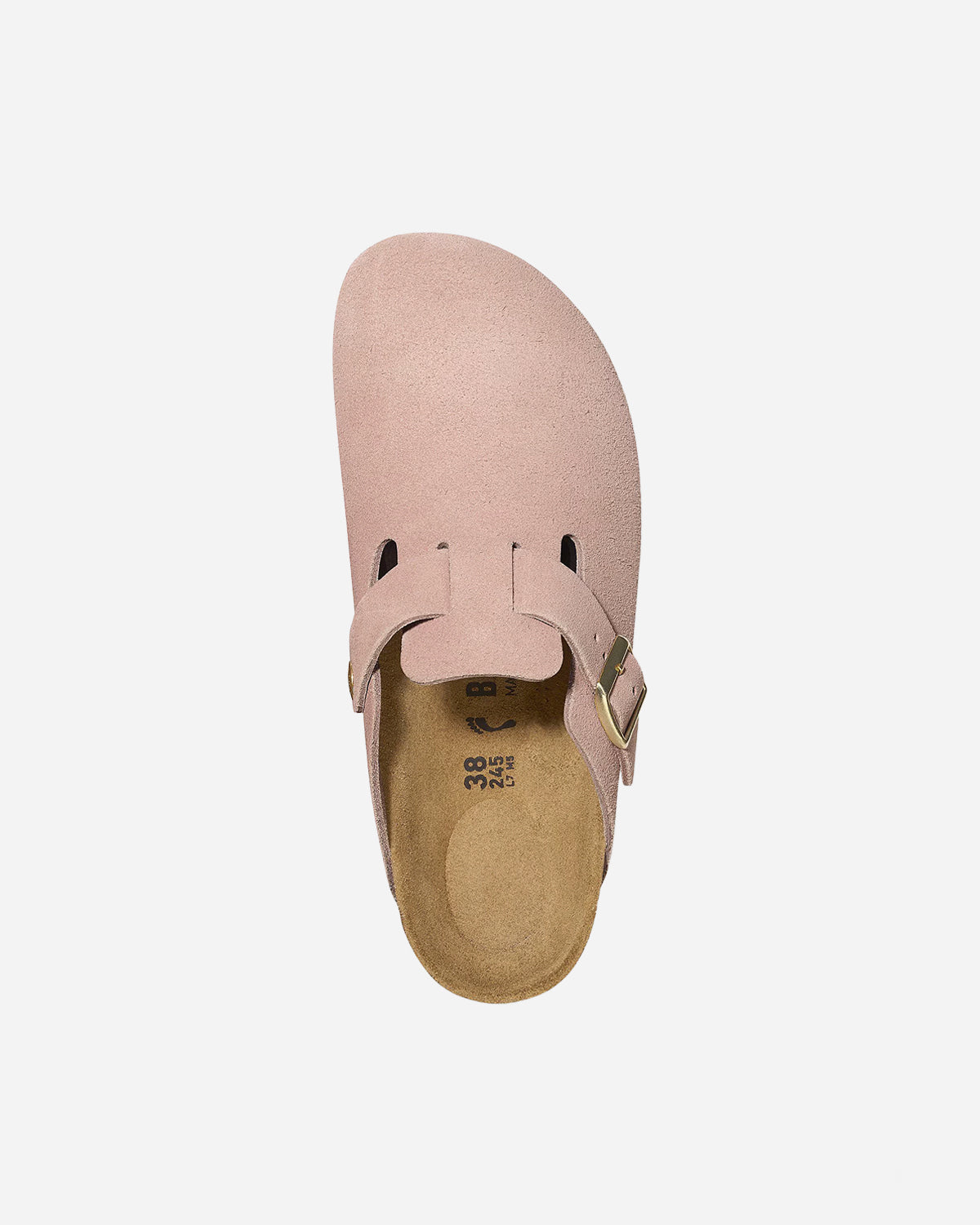 Boston LEVE Light Rose