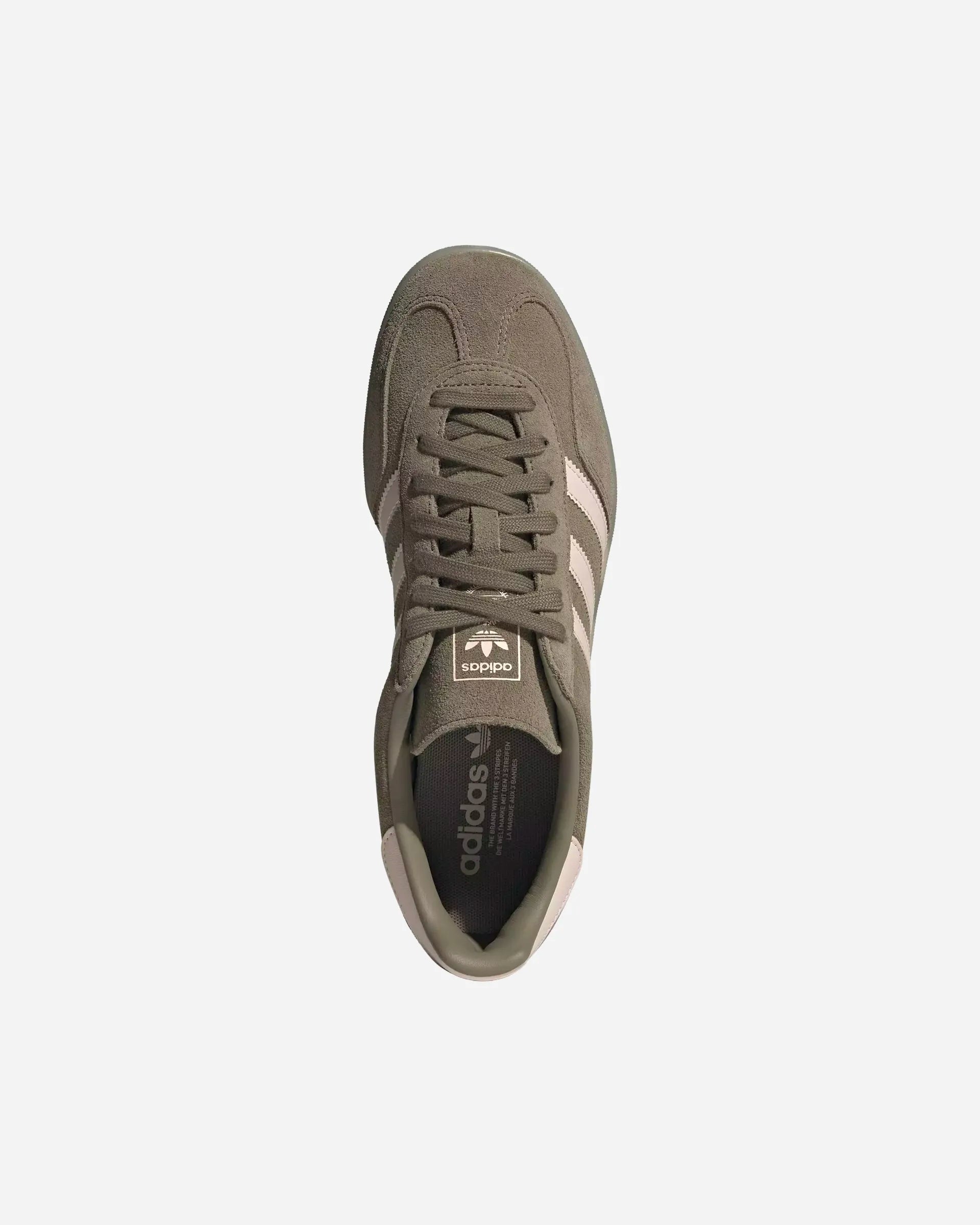Gazelle Indoor
