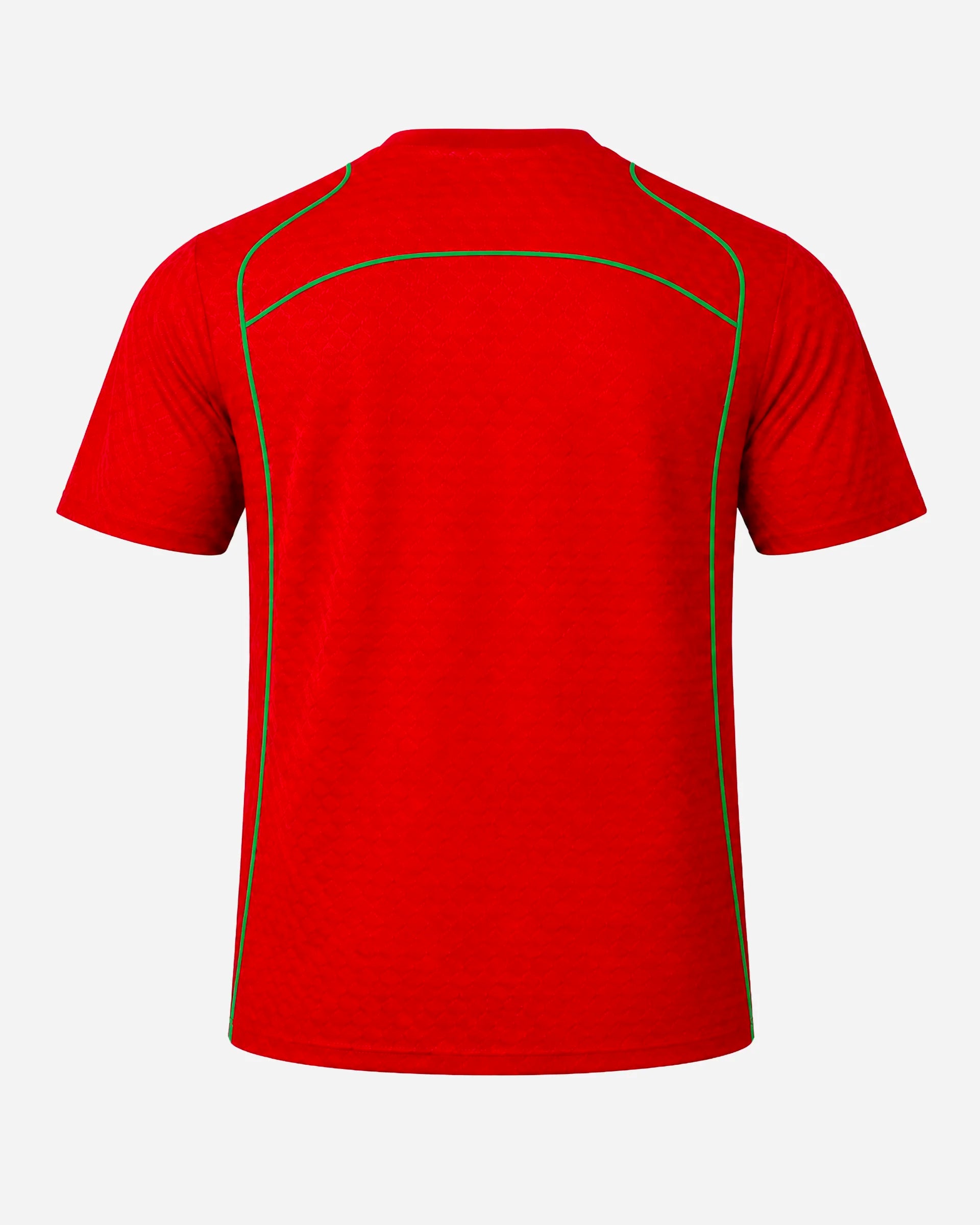 Maillot Coupe du Monde Maroc