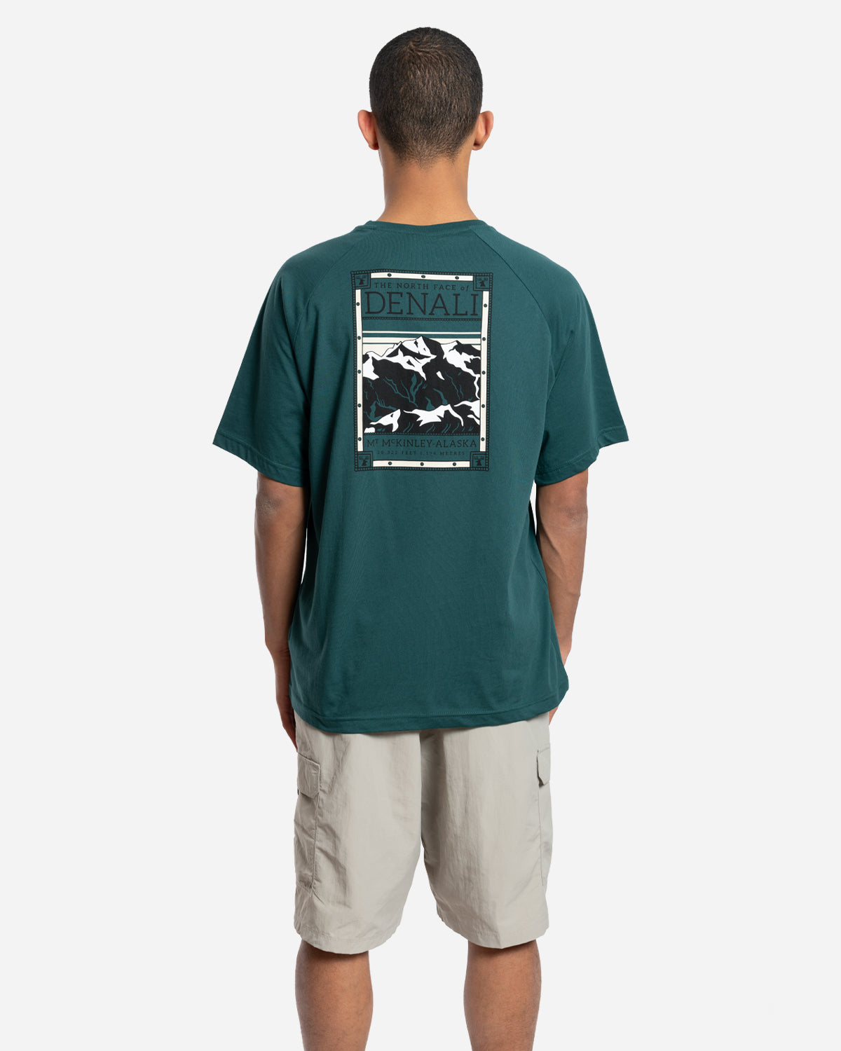 T-Shirt North Faces Vert