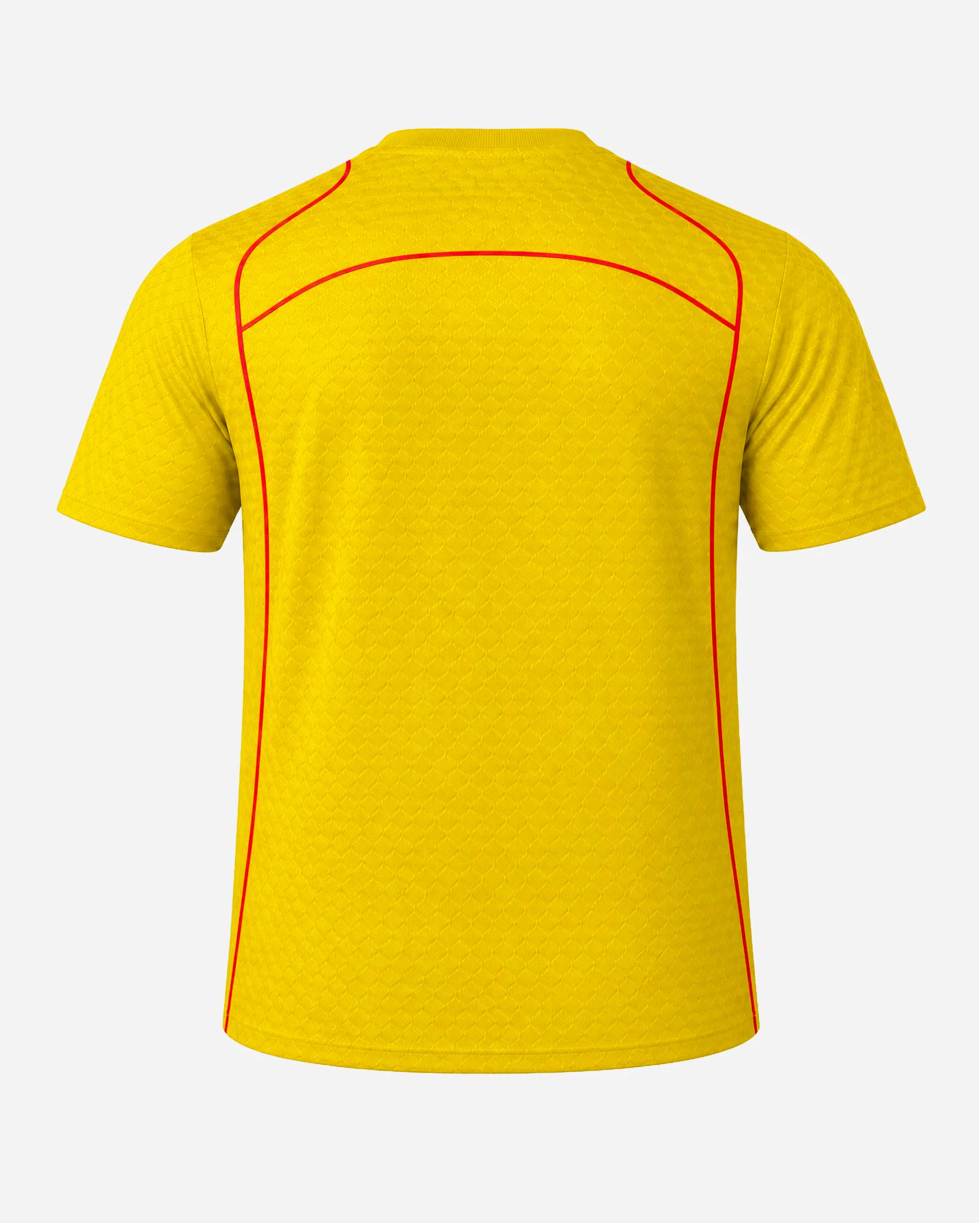Maillot Coupe du Monde Sénégal