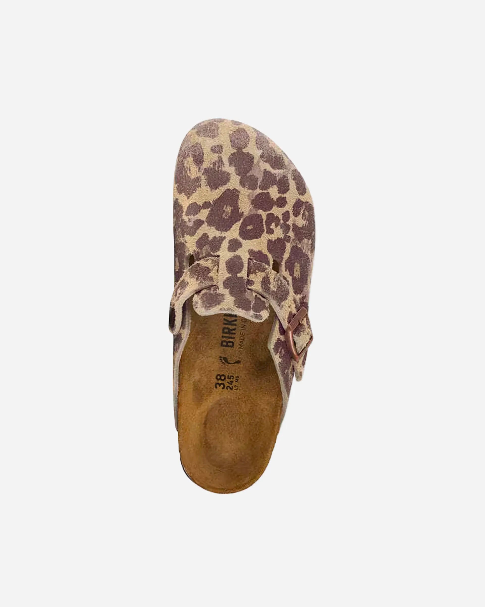 Boston BS Suede (Regular) - Leo Sandcastle