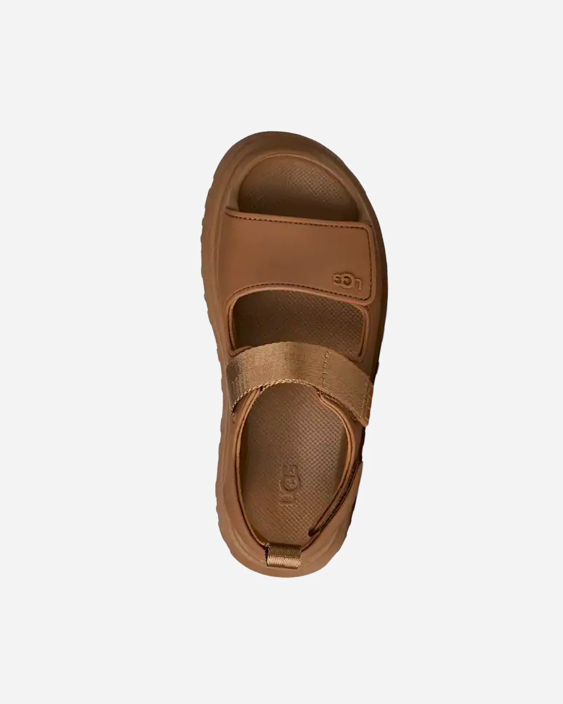 Goldenglow Bison Brown