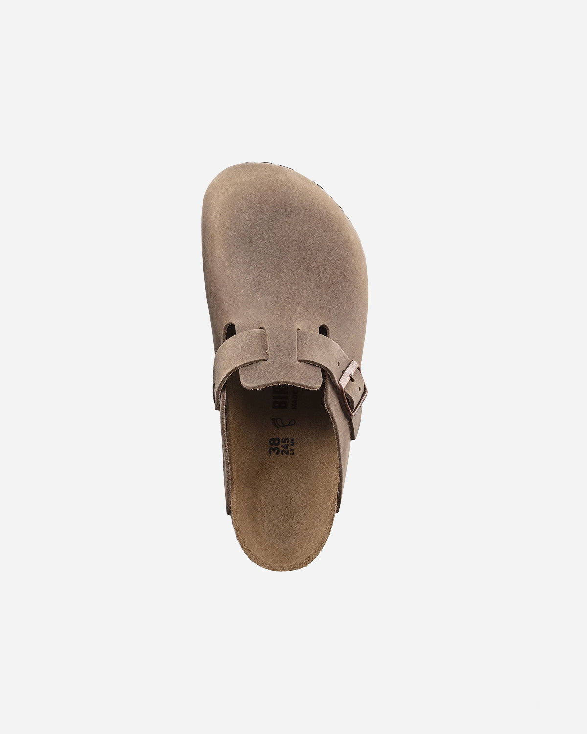 Boston Leo Tobacco Brow