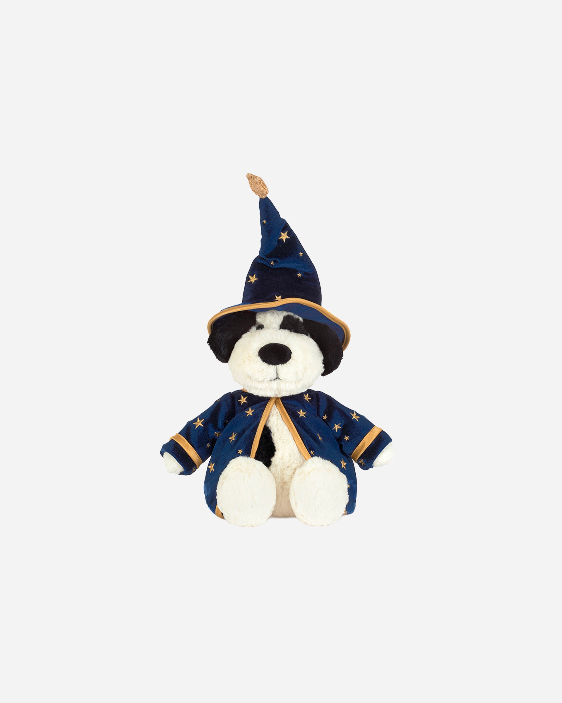 Rufferty Puppy Wizard Outfit