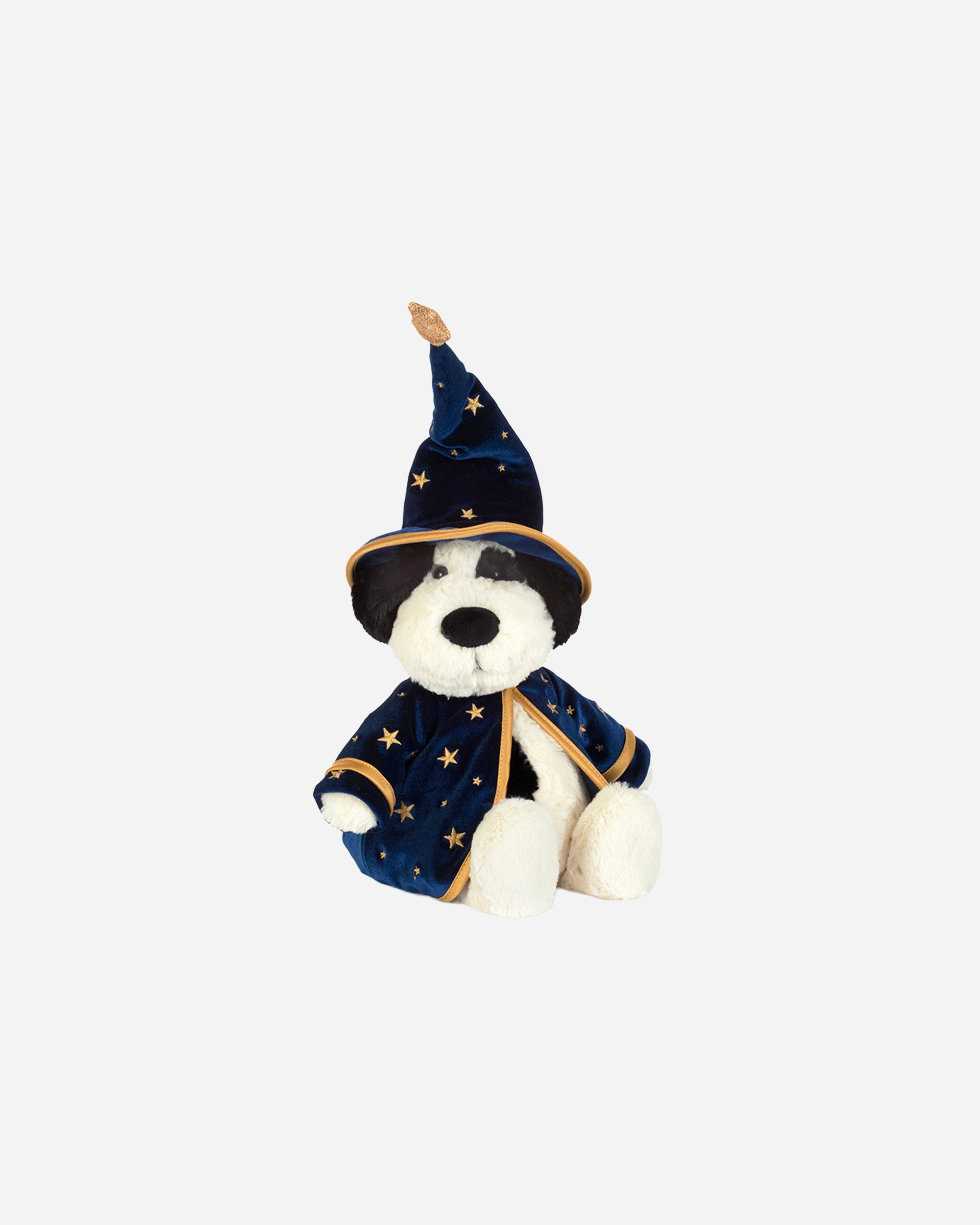 Rufferty Puppy Wizard Outfit
