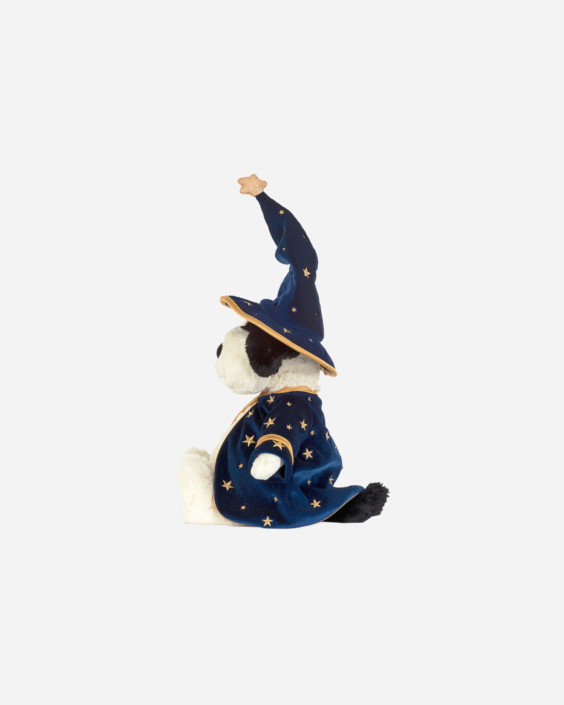 Rufferty Puppy Wizard Outfit