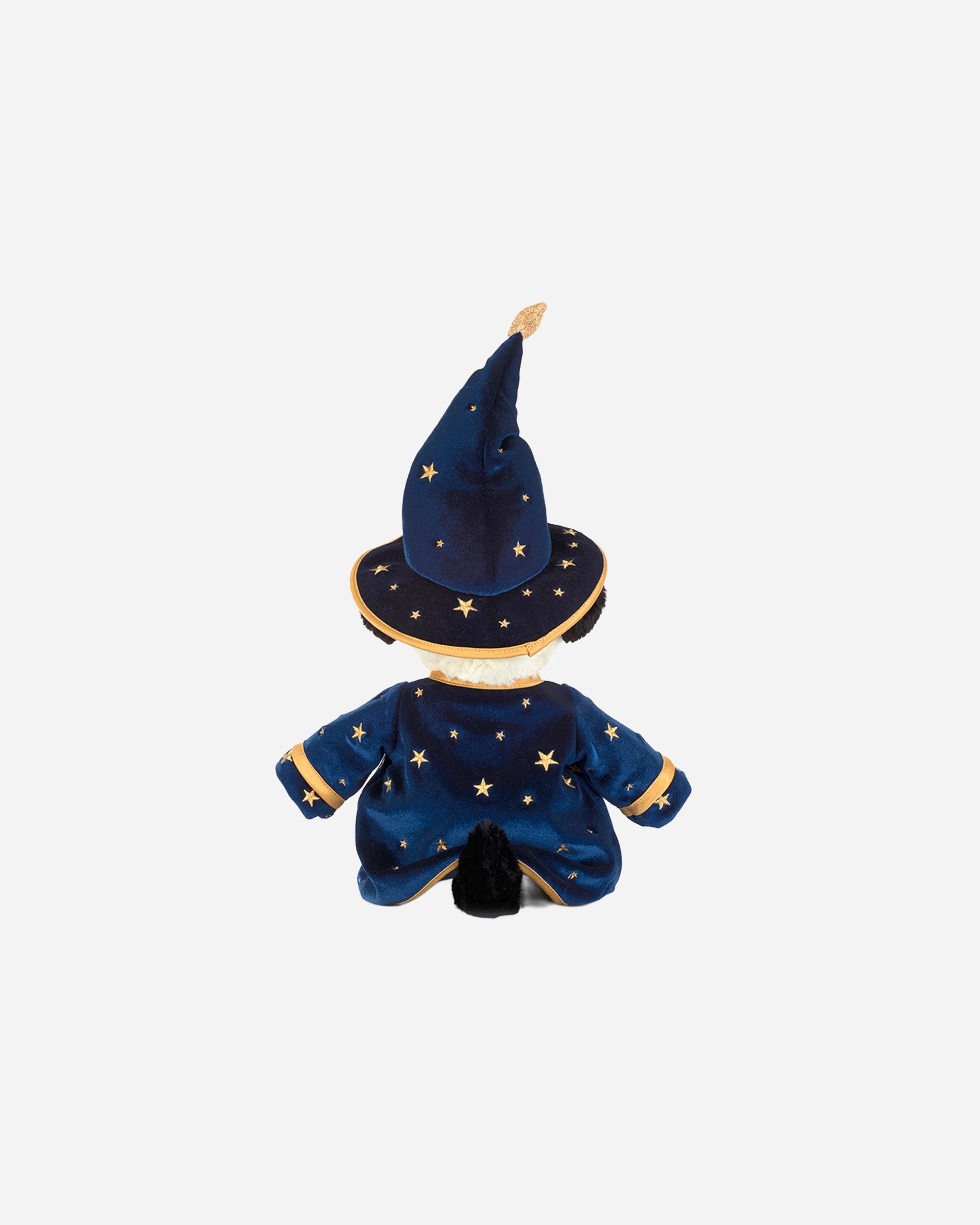 Rufferty Puppy Wizard Outfit