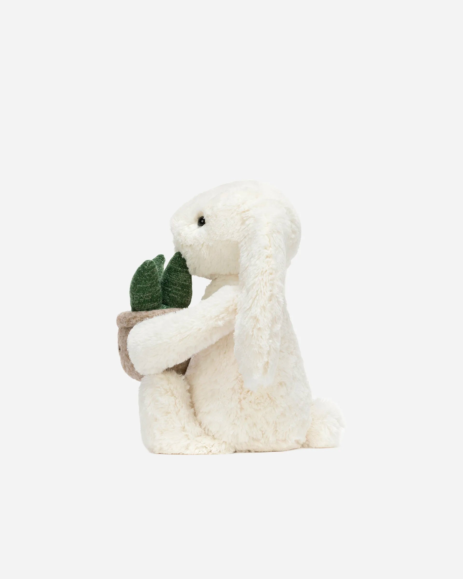 Cream Bunny with Plant