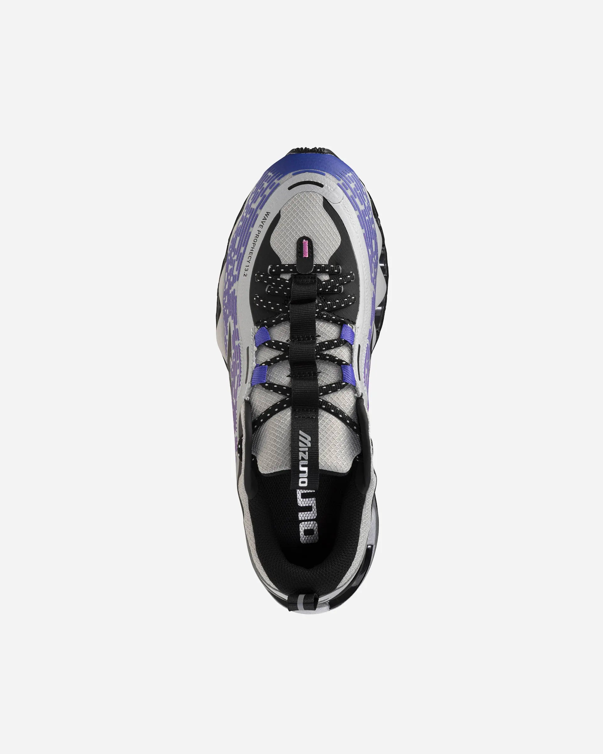 Wave Prophecy 13.2 Spring Crocus