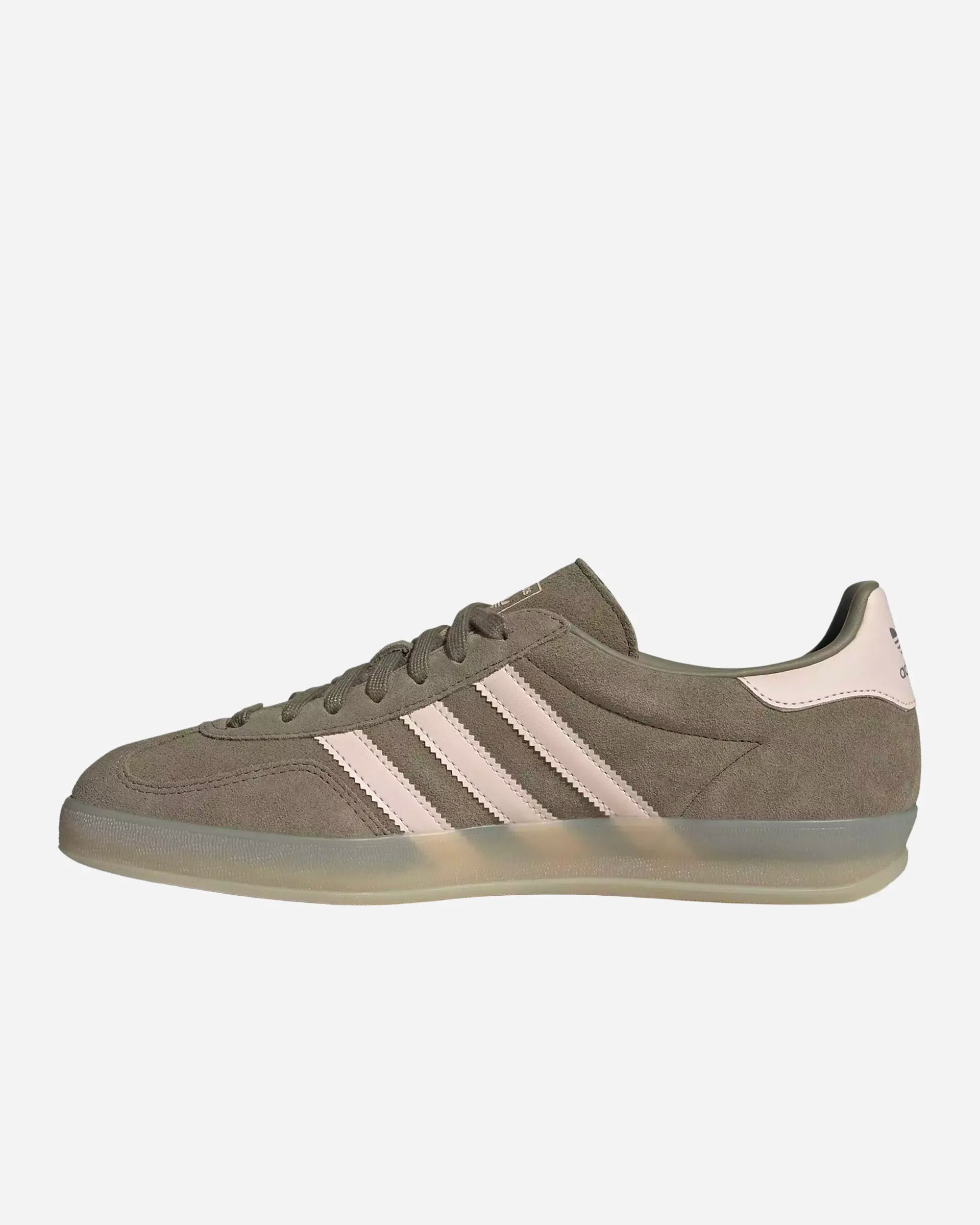 Gazelle Indoor