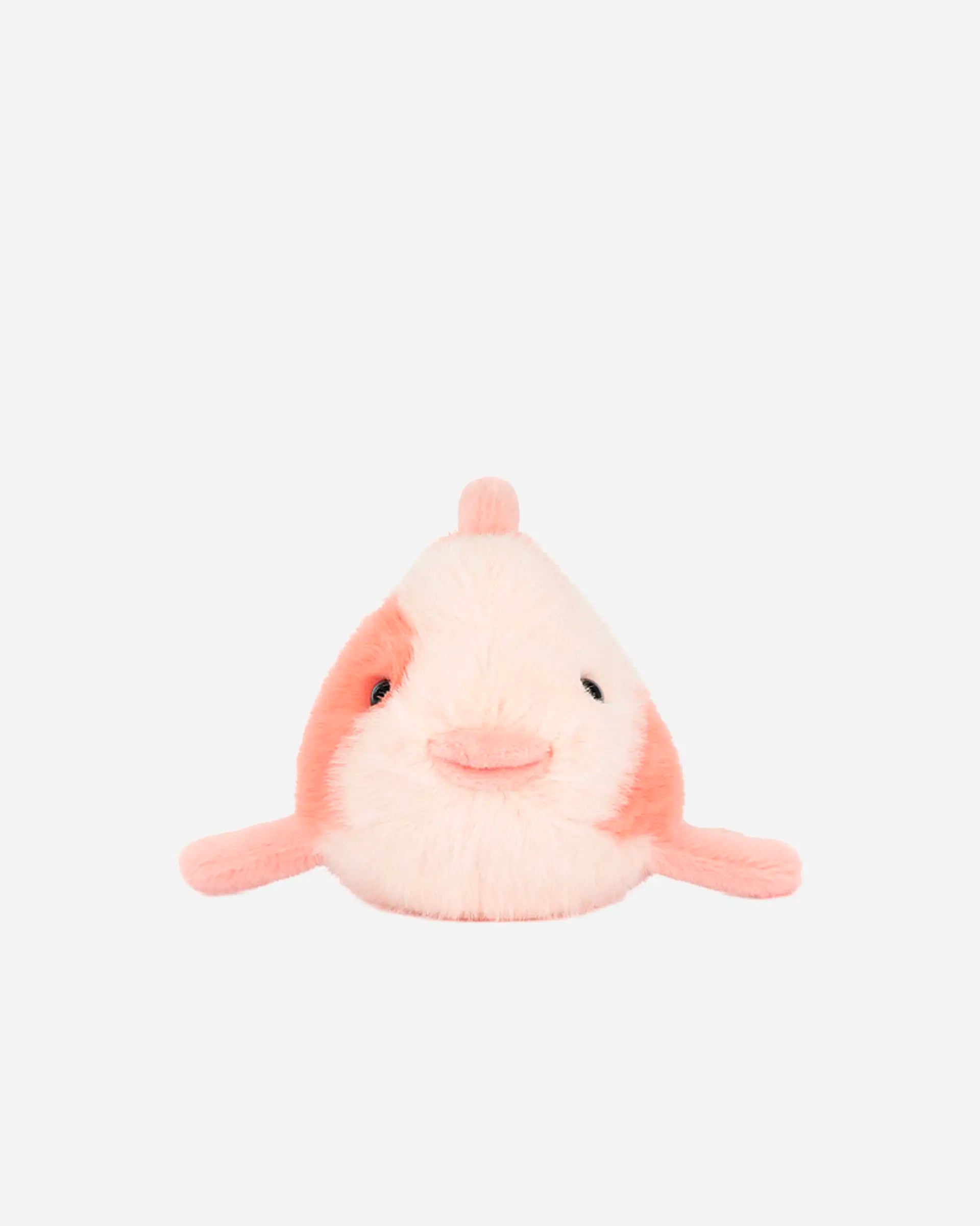 Fancy Carp