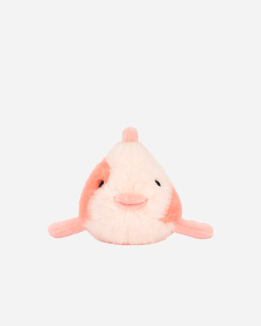 Fancy Carp