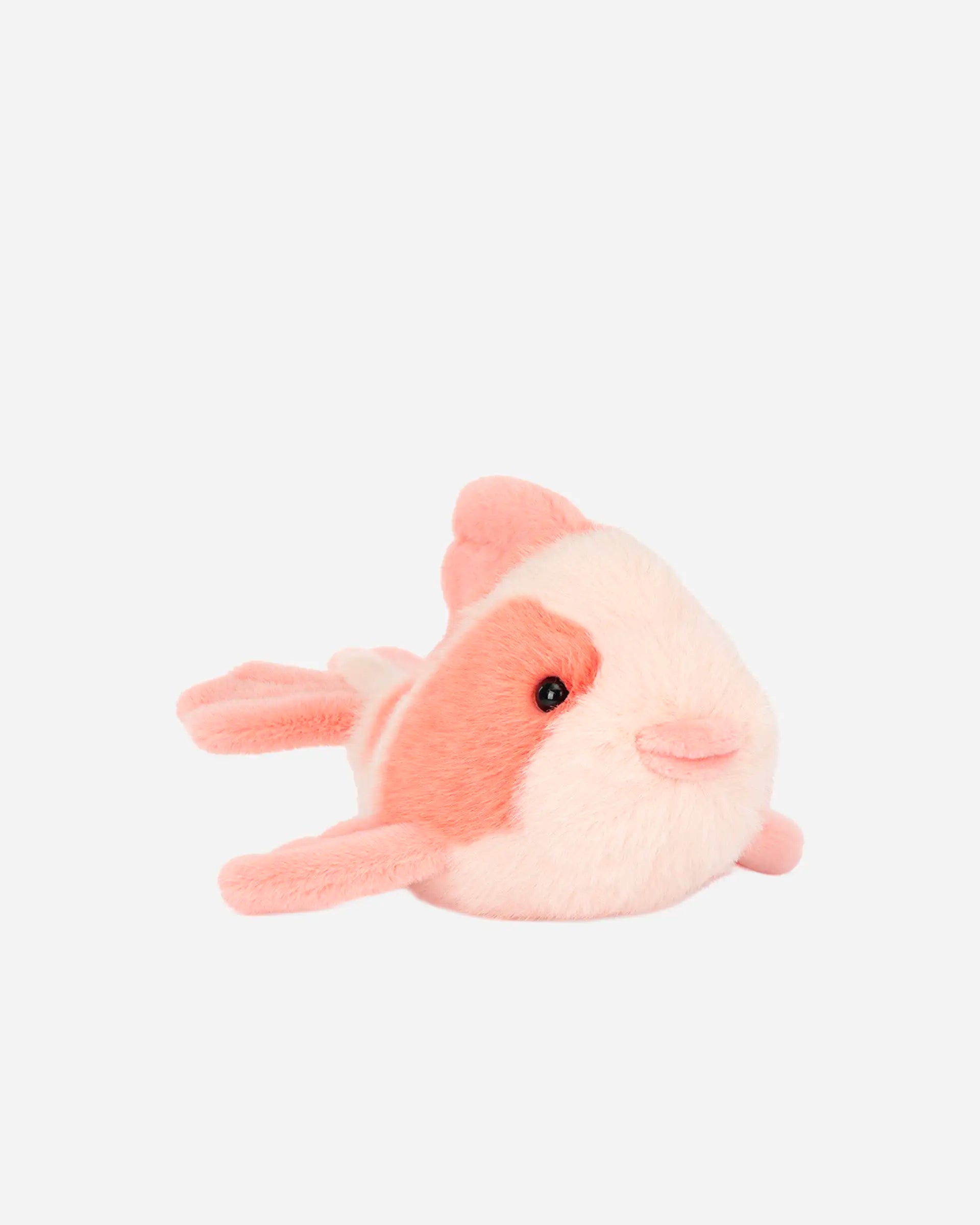 Fancy Carp
