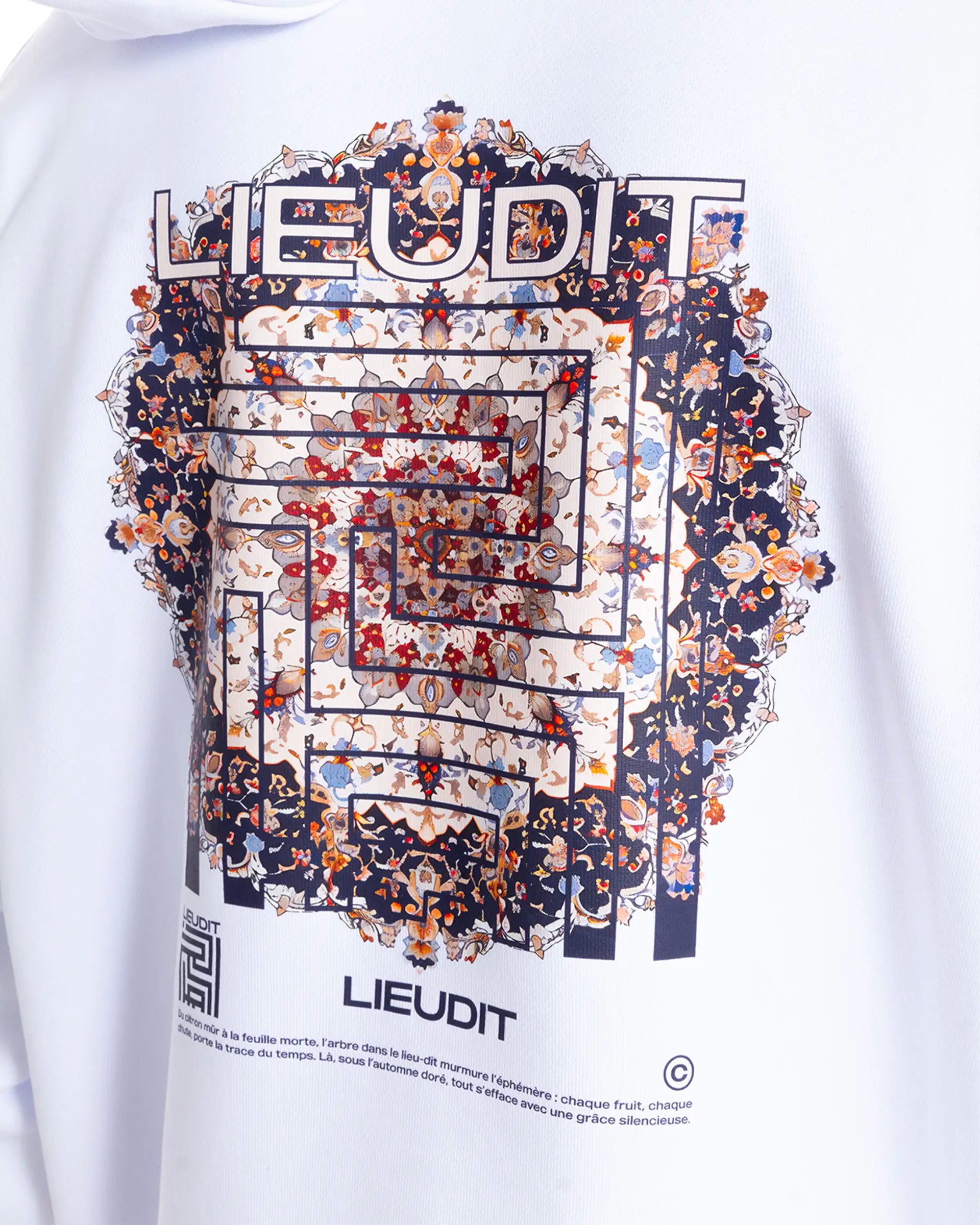 Sweatshirt à Capuche Kilim