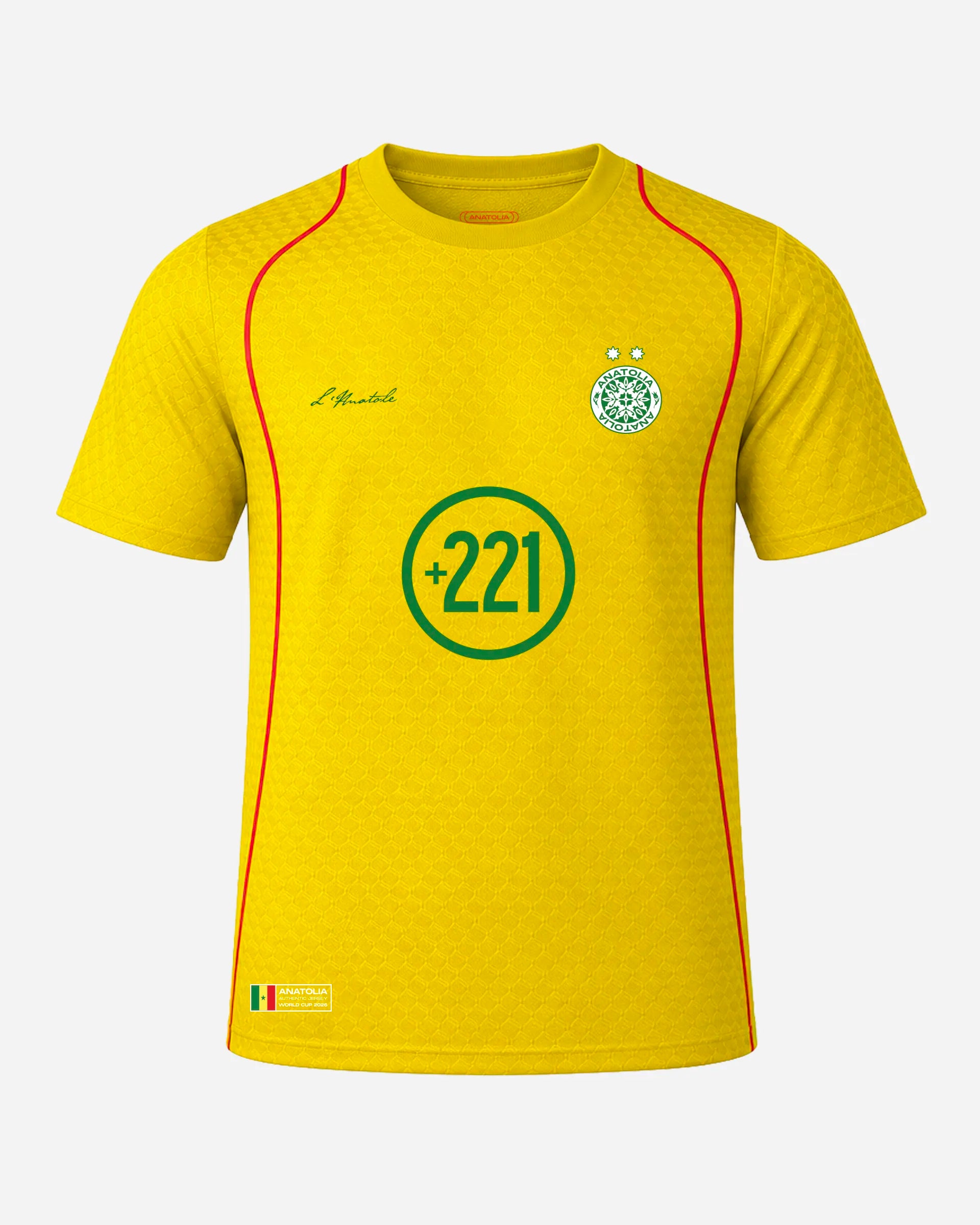 Maillot Coupe du Monde Sénégal